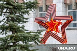 Собирать теплицу и посмотреть новый фильм: чем будут заниматься пермские политики на майские