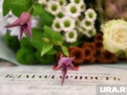 Журналиста URA.RU признали одним из лучших парламентских корреспондентов в Прикамье