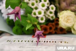 Журналиста URA.RU признали одним из лучших парламентских корреспондентов в Прикамье