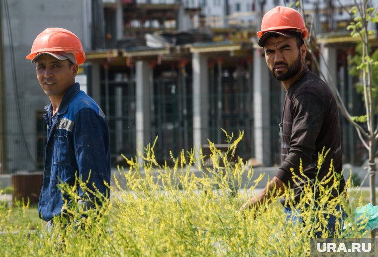  Дефицит рабочей силы в России: миф или реальность