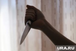 «На полу много крови»: появились детали двойного убийства, в котором подозревают пермского школьника 