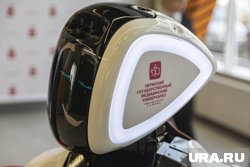 Пермские университеты отчитались о многомиллионных доходах