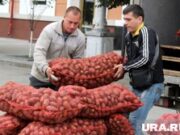 Россию завалили картошкой из Китая и Египта