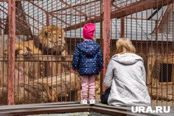 Зампред краевого правительства Алякринский назвал срок открытия нового зоопарка в Перми 