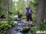 Что взять с собой в поход: неочевидное, но полезное снаряжение