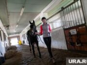 Не так просто, как кажется: журналист URA.RU из Перми попробовала себя в конном спорте. Фото, видео