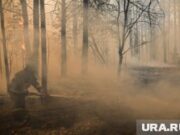 В пермских лесах ввели особый противопожарный режим