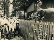 Завершение вековой истории: Пермский зоопарк навсегда закрывает свои двери. Фотогалерея