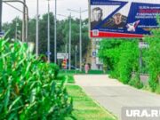 Больше половины пермяков открывают двери членам избиркомов в рамках проекта «ИнформУИК»