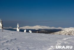 «Я убежден, что она жива»: подробности нового поворота в спасении Наговицыной после трех неудачных попыток
