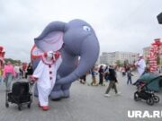 Театральная феерия, истязание двух школьниц и медведь под напряжением: топ-8 новостей Перми и края