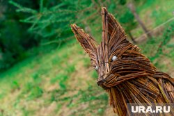Вонючий водопад, спрятавшиеся туалеты и арт-объекты — обзор экотроп Перми. Фото, видео