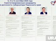 «Отличник народного просвещения»: что известно о кандидате в пермские губернаторы Караваевой