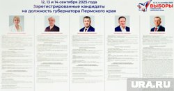 «Отличник народного просвещения»: что известно о кандидате в пермские губернаторы Караваевой