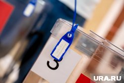 «Спасибо всем членам избиркома»: корреспондент URA.RU вновь почувствовала себя сотрудником УИК. Фото, видео